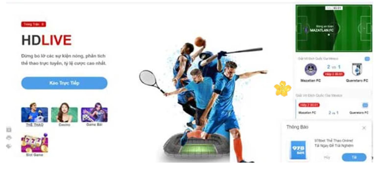 8xbet – Nhà cái cá cược trực tuyến uy tín hàng đầu