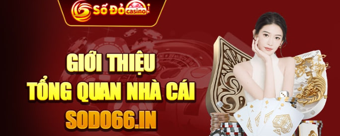 Số đỏ: Nhà cái uy tín, chất lượng dành cho giới trẻ