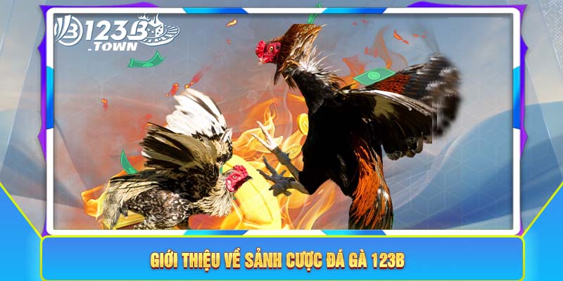 Đá gà trực tuyến 123b.com – Sân chơi uy tín hàng đầu Việt Nam
