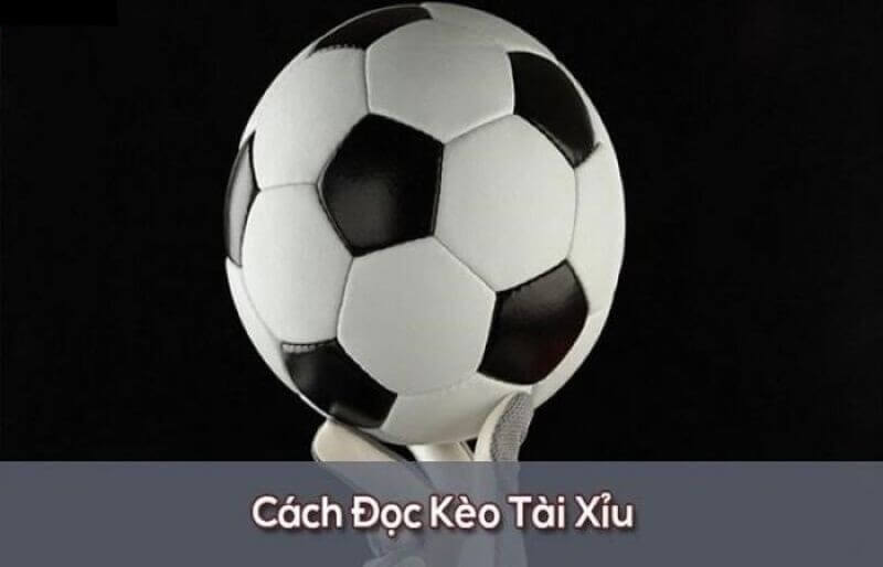 Tìm hiểu kèo Tài Xỉu 3 3.5 và bí quyết cược thắng lớn