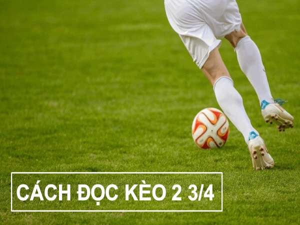 Kèo Tài Xỉu 2 34 Là Gì？ Hướng Dẫn Chi Tiết Cho Người Mới