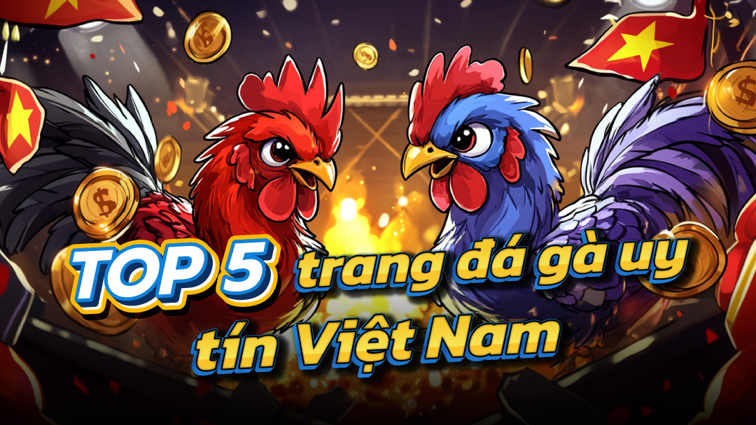 Đá Gà KTO – Địa Chỉ Giải Trí Uy Tín Cho Người Yêu Thích Đá Gà Trực Tuyến