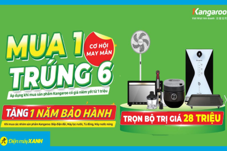 Mua Khung Thành Bóng Đá Mini 5 Người Đức Long Online, Giảm Giá 5%