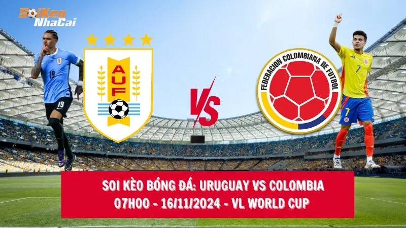 Soi kèo Mỹ vs Qatar: Tỷ lệ cược, phân tích và dự đoán chính xác