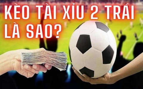 Tìm hiểu tài xỉu 2 trái: Cách đặt cược hiệu quả