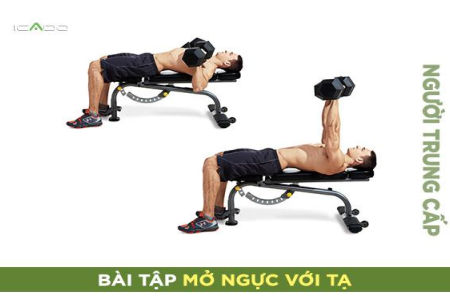 Các bài tập tạ đòn hiệu quả nhất cho người mới bắt đầu