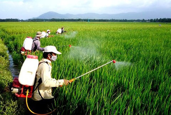 Vebi: Giải pháp kiểm soát sâu bệnh và bảo vệ cây trồng bền vững