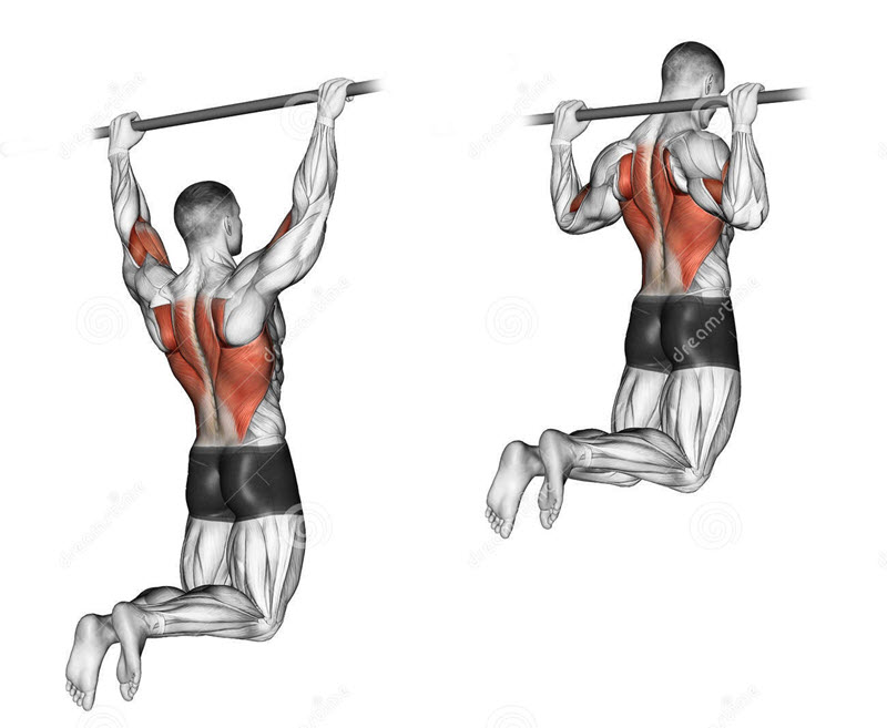 hướng dẫn tập xà đơn xà kép