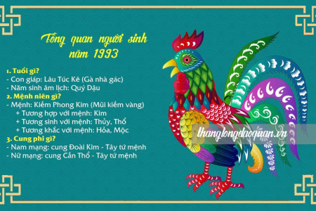 Bwing Tặng 50K: Hướng Dẫn Chi Tiết Cách Nhận Và Sử Dụng Khuyến Mãi