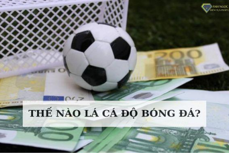 Tìm hiểu tỷ lệ cược: Chơi cá độ bóng đá dễ thắng