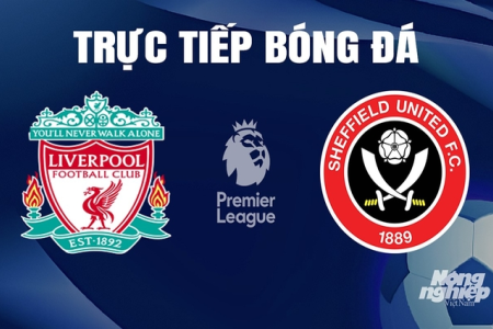 Liverpool kết quả hôm nay: Link xem trực tiếp và tỷ số